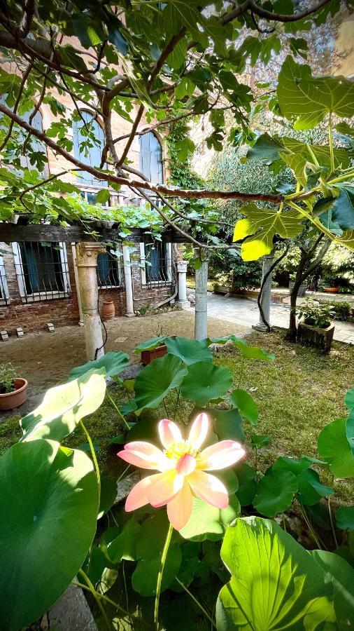 B&B Michelangelo Veneţia Exterior foto